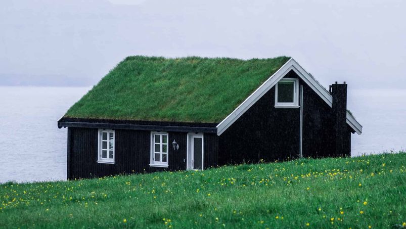 Hytte med gress på taket